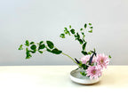Intro to Ikebana @ Cypress Pillar Healing Arts - Various Dates